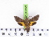  ( - BC-LTM-120)  @11 [ ] Copyright (2010) Unspecified Research Collection of James P. Tuttle