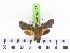  ( - BC-LTM-121)  @13 [ ] Copyright (2010) Unspecified Research Collection of James P. Tuttle