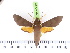  ( - BC-LTM-127)  @13 [ ] Copyright (2010) Unspecified Research Collection of James P. Tuttle