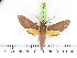  ( - BC-LTM-128)  @12 [ ] Copyright (2010) Unspecified Research Collection of James P. Tuttle