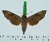  ( - BC-LTM-217)  @14 [ ] Copyright (2015) Bjorn Fjellstad Research Collection of Bjorn Fjellstad