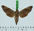  ( - BC-LTM-218)  @14 [ ] Copyright (2015) Bjorn Fjellstad Research Collection of Bjorn Fjellstad