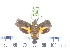  ( - BC-JT-23M)  @12 [ ] Copyright (2010) Unspecified Research Collection of James P. Tuttle