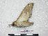  ( - BC-PhA0200)  @13 [ ] Unspecified (default): All Rights Reserved  Unspecified Unspecified
