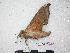  ( - BC-PhA0206)  @13 [ ] Copyright (2010) Unspecified Research Collection of Philippe Annoyer