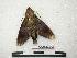  ( - BC-PhA0209)  @13 [ ] Copyright (2010) Unspecified Research Collection of Philippe Annoyer