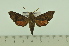  ( - SP15752)  @12 [ ] Copyright (2010) Pierre Schmit Research Collection of Pierre Schmit