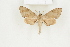  ( - BC-TB8198)  @12 [ ] Copyright (2011) Thierry Bouyer Research Collection of Thierry Bouyer