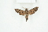  ( - BC-TB8205)  @12 [ ] Copyright (2011) Thierry Bouyer Research Collection of Thierry Bouyer