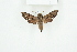  ( - BC-TB8207)  @12 [ ] Copyright (2011) Thierry Bouyer Research Collection of Thierry Bouyer