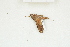  ( - BC-TB8264)  @12 [ ] Copyright (2011) Thierry Bouyer Research Collection of Thierry Bouyer