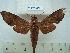  ( - BC-EST0482)  @13 [ ] Copyright (2010) Unspecified Research Collection of Yves Estradel