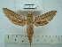  ( - BC-EST0484)  @13 [ ] Copyright (2010) Unspecified Research Collection of Yves Estradel
