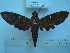  ( - BC-EST0493)  @13 [ ] Copyright (2010) Unspecified Research Collection of Yves Estradel