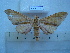  ( - BC-EST0507)  @13 [ ] Copyright (2010) Unspecified Research Collection of Yves Estradel