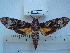  ( - BC-EST0548)  @13 [ ] Copyright (2010) Unspecified Research Collection of Yves Estradel