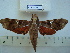  ( - BC-EST0552)  @14 [ ] Copyright (2010) Unspecified Research Collection of Yves Estradel