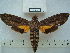  ( - BC-EST0582)  @14 [ ] Copyright (2010) Unspecified Research Collection of Yves Estradel