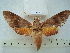  ( - BC-EST0585)  @13 [ ] Copyright (2010) Unspecified Research Collection of Yves Estradel