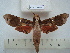  ( - BC-EST0600)  @14 [ ] Copyright (2010) Unspecified Research Collection of Yves Estradel