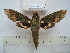  ( - BC-EST0603)  @14 [ ] Copyright (2010) Unspecified Research Collection of Yves Estradel