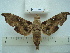  ( - BC-EST0608)  @14 [ ] Copyright (2010) Unspecified Research Collection of Yves Estradel