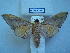  ( - BC-EST0496)  @13 [ ] Copyright (2010) Unspecified Research Collection of Yves Estradel