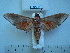  ( - BC-EST0498)  @13 [ ] Copyright (2010) Unspecified Research Collection of Yves Estradel