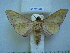  ( - BC-EST0505)  @13 [ ] Copyright (2010) Unspecified Research Collection of Yves Estradel