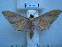  ( - BC-EST0516)  @13 [ ] Copyright (2010) Unspecified Research Collection of Yves Estradel
