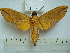  ( - BC-EST0535)  @12 [ ] Copyright (2010) Unspecified Research Collection of Yves Estradel