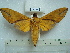  ( - BC-EST0536)  @12 [ ] Copyright (2010) Unspecified Research Collection of Yves Estradel