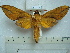  ( - BC-EST0537)  @12 [ ] Copyright (2010) Unspecified Research Collection of Yves Estradel