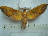  ( - BC-EST0538)  @12 [ ] Copyright (2010) Unspecified Research Collection of Yves Estradel