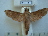  ( - BC-EST0551)  @14 [ ] Copyright (2010) Unspecified Research Collection of Yves Estradel
