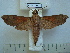  ( - BC-EST0552)  @14 [ ] Copyright (2010) Unspecified Research Collection of Yves Estradel