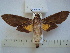  ( - BC-EST0556)  @13 [ ] Copyright (2010) Unspecified Research Collection of Yves Estradel