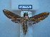  ( - BC-EST0558)  @13 [ ] Copyright (2010) Unspecified Research Collection of Yves Estradel