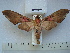  ( - BC-EST0566)  @14 [ ] Copyright (2010) Unspecified Research Collection of Yves Estradel