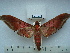  ( - BC-EST0572)  @13 [ ] Copyright (2010) Unspecified Research Collection of Yves Estradel