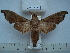 ( - BC-EST0608)  @13 [ ] Copyright (2010) Unspecified Research Collection of Yves Estradel