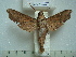  ( - BC-EST0609)  @13 [ ] Copyright (2010) Unspecified Research Collection of Yves Estradel