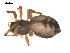  ( - ALASKA-01-C02)  @12 [ ] CreativeCommons - Attribution (2010) Gergin Blagoev, Centre for Biodiversity Genomics Centre for Biodiversity Genomics