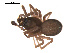  ( - ALASKA-01-C12)  @12 [ ] CreativeCommons - Attribution (2010) Gergin Blagoev, Centre for Biodiversity Genomics Centre for Biodiversity Genomics