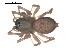 ( - ALASKA-01-F02)  @13 [ ] CreativeCommons - Attribution (2010) Gergin Blagoev, Centre for Biodiversity Genomics Centre for Biodiversity Genomics