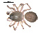  ( - ALASKA-01-G02)  @12 [ ] CreativeCommons - Attribution (2010) Gergin Blagoev, Centre for Biodiversity Genomics Centre for Biodiversity Genomics