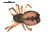  ( - ALASKA-03-C04)  @13 [ ] CreativeCommons - Attribution (2010) Gergin Blagoev, Centre for Biodiversity Genomics Centre for Biodiversity Genomics