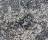  ( - BIOUG38890-G01)  @11 [ ] CC-0 (2020) Unspecified Unspecified