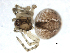  ( - BIOUG00164-A06)  @12 [ ] CC-0  G. Blagoev 2010 Unspecified