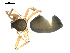  ( - BIOUG00164-B01)  @12 [ ] CC-0  G. Blagoev 2010 Unspecified